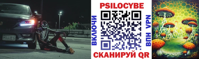 Купить где  Салаир  Галлюциногенные грибы Magic Shrooms 